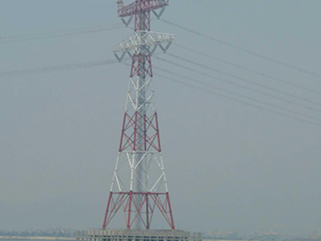 畜禽良种场电力铁塔案例